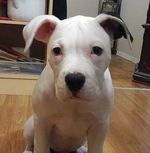 Meet your Posher, Sharon